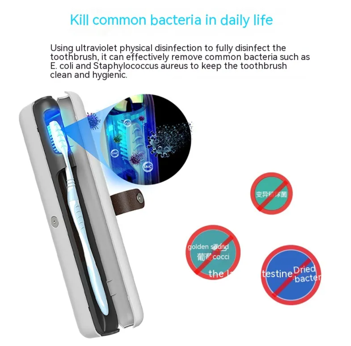Portable Toothbrush Sterilizer Box, UV-C Surround Sanitising Case, USB Powered & Travel-Friendly — White