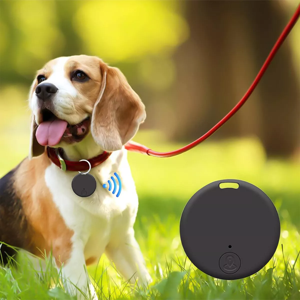 Bluetooth Item Finder Key Tag, App-Paired Locator for Keys, Wallet, Bags & Remotes — Audible Alarm, Two-Way Phone Find — 2/4/6/8 Packs